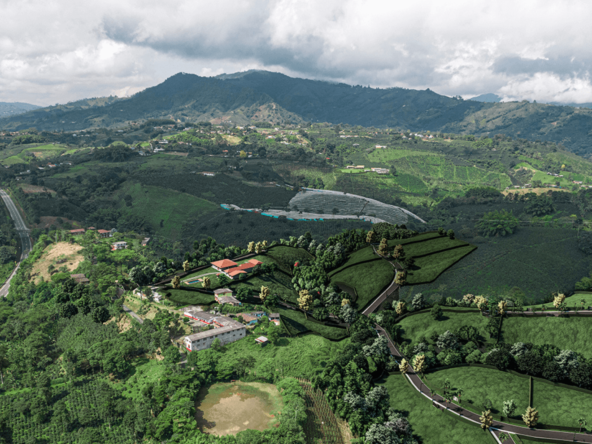 Donde Vivir - NATURA VILLAS DEL CAFÉ - ARQ Constructora